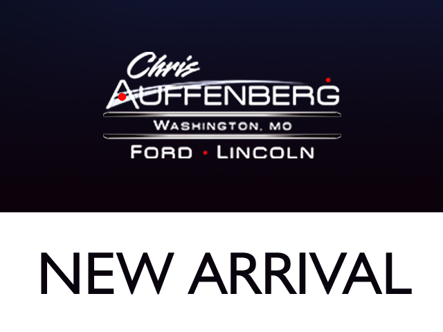 2026 Ford Transit Van Base's photo